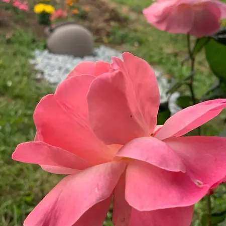 شقة Estia ستافروس