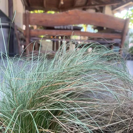 شقة Estia ستافروس