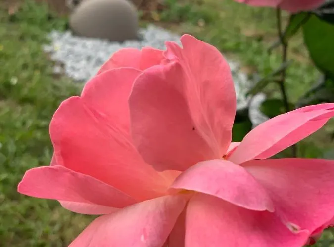 Apartamento Estia Stavros (Thessaloniki)