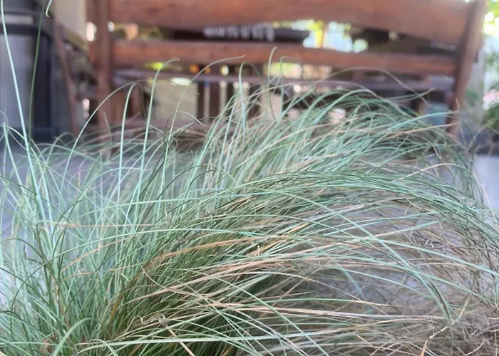 Apartamento Estia Stavros (Thessaloniki)